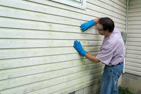 Best Aluminum Siding Installation  in USA